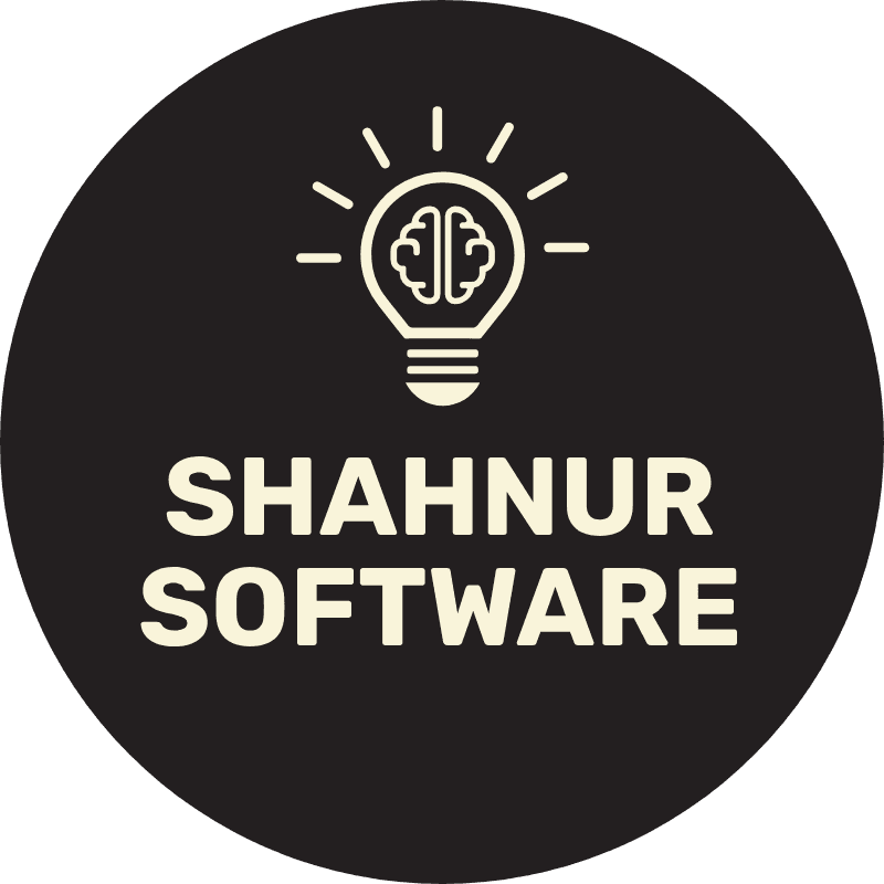 Старый логотип ShahNur Software: иконка лампы и мозга