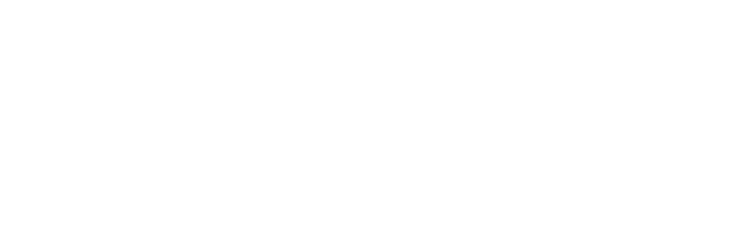 The Steppe Venture Builders logo